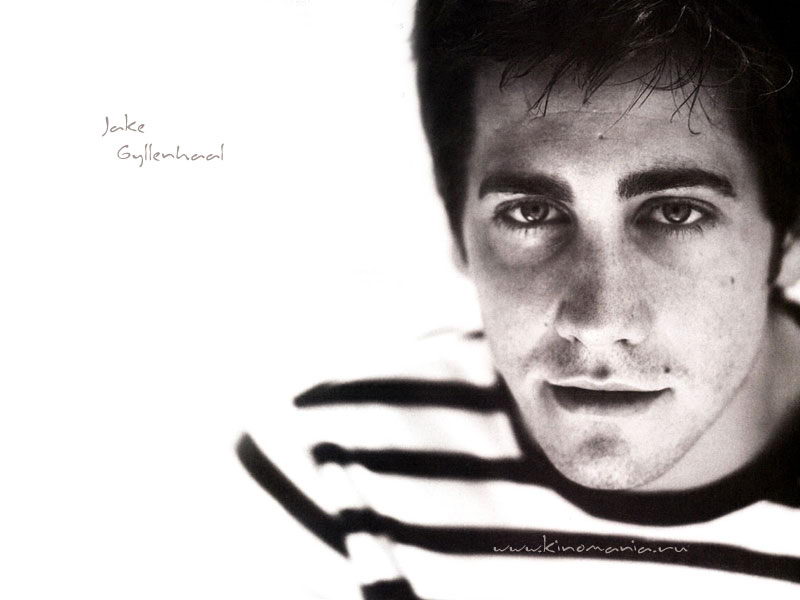  _Jake Gyllenhaal___Foto-wallpapers    _      _Jake Gyllenhaal