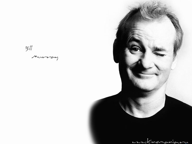  _Bill Murray___Foto-wallpapers    _    c   _Bill Murray