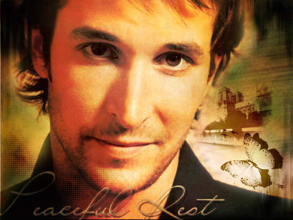  _Noah Wyle___Foto-wallpapers    _     _Noah Wyle