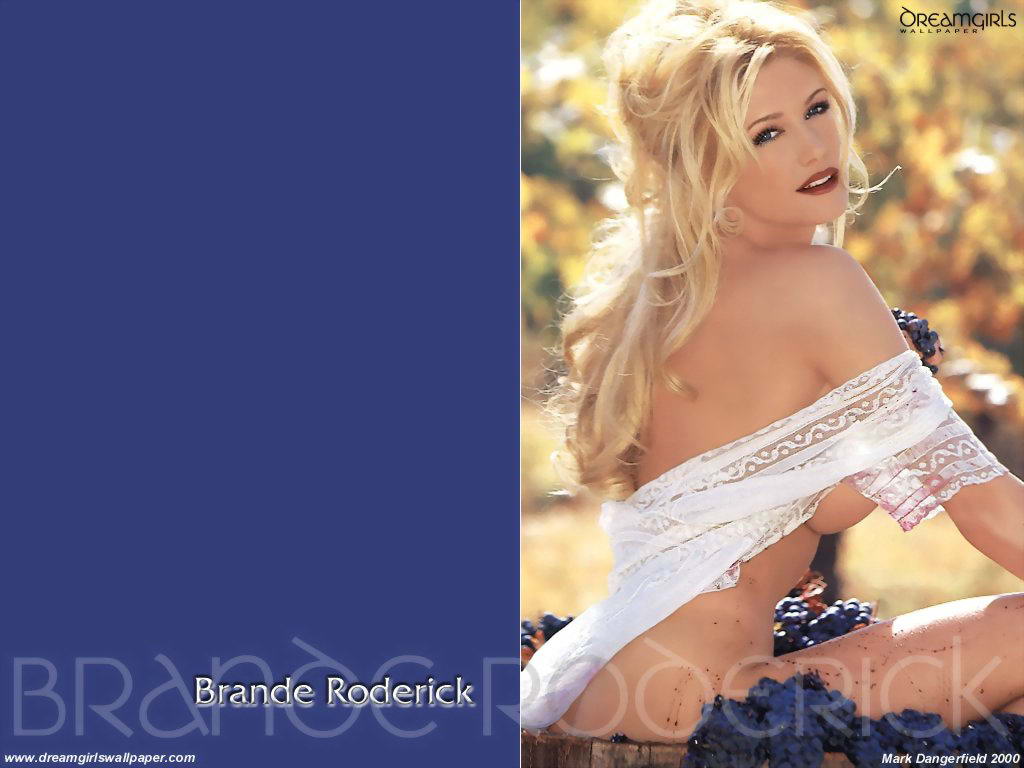  _Brande Roderick___Foto-Wallpapers.Ru  -._ - c   