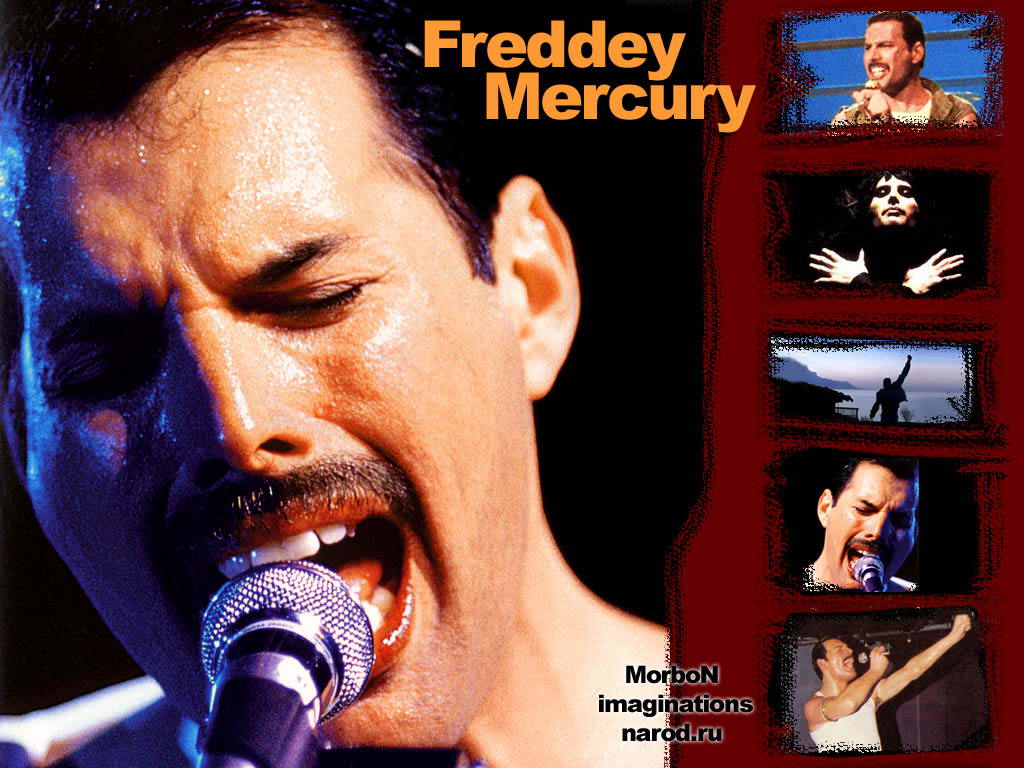    _Queen & Freddey Mercury___  _   _Queen & Freddey Mercury