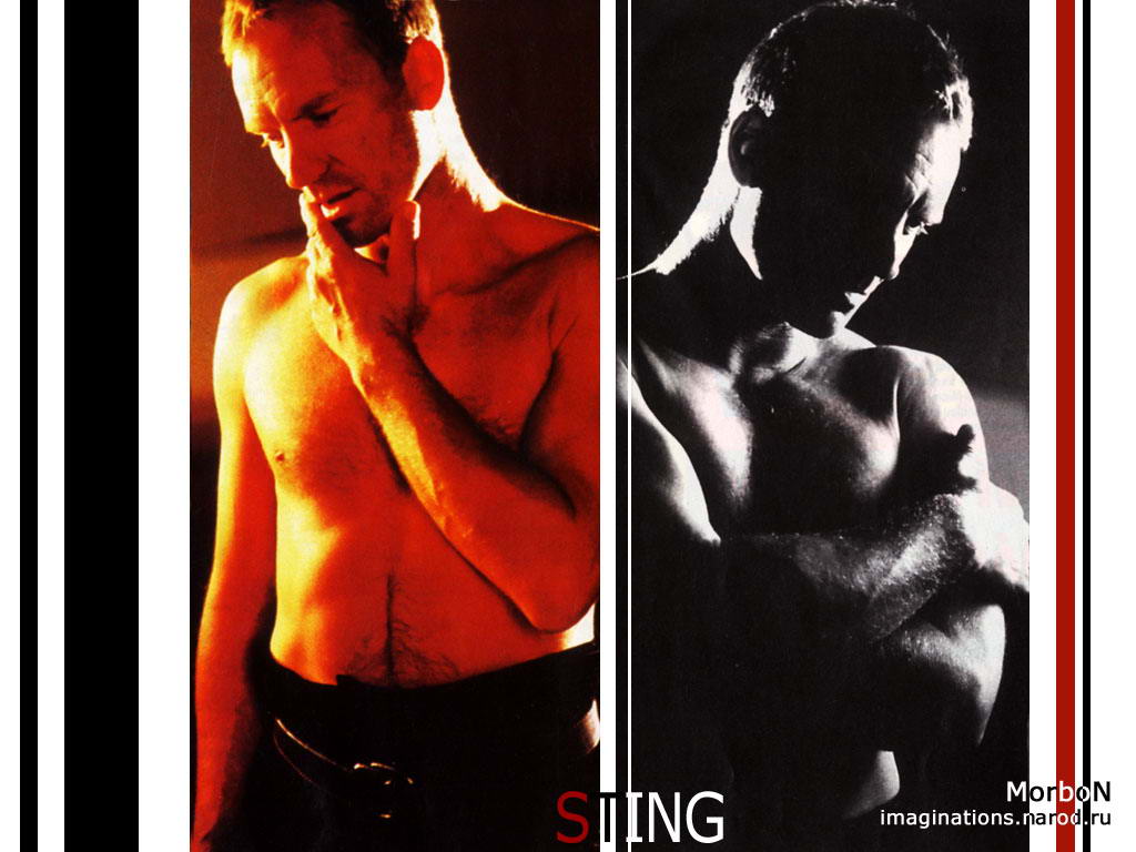 _Sting___Foto-Wallpapers.Ru  -.__    c  _Sting