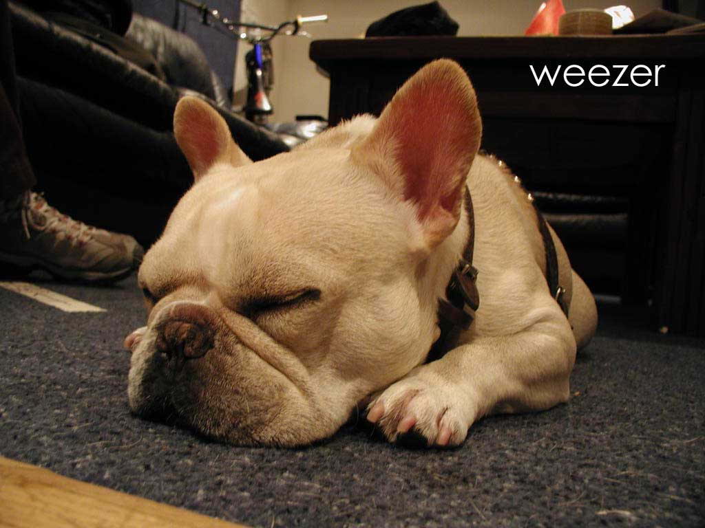 _Weezer___Foto-Wallpapers.Ru  -.__    c _Weezer